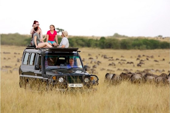 Photography: Roaring Summer n Bush Safaris